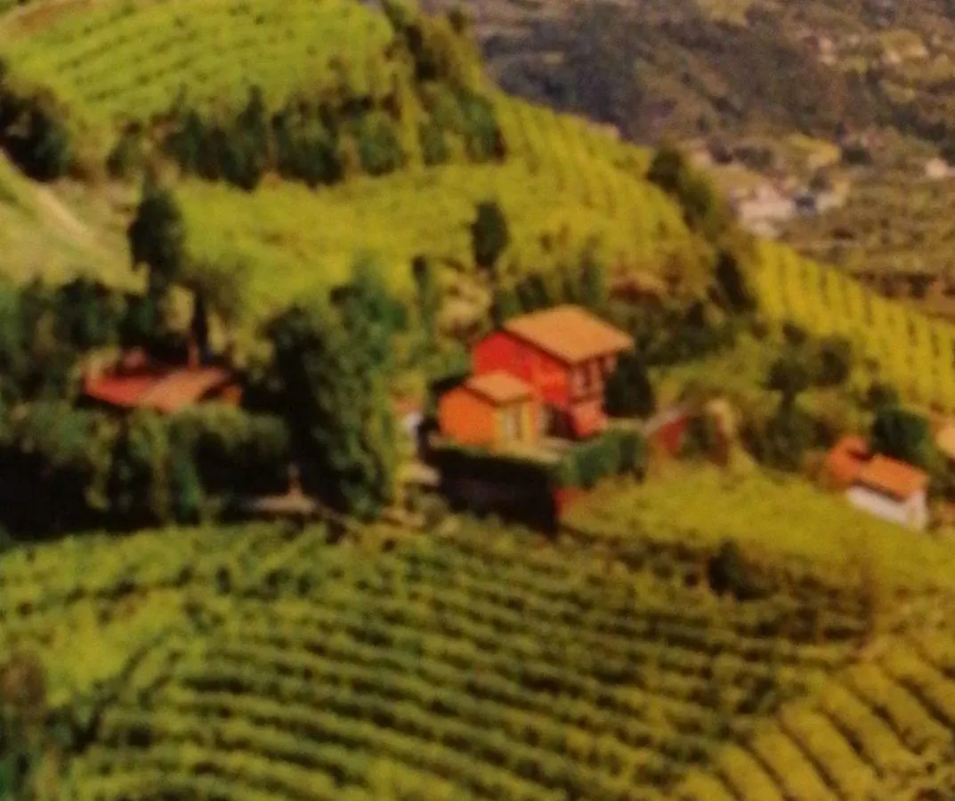 Agriturismo La Preara Monteforte d'Alpone